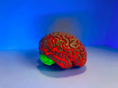Anatomical brain model with red illuminated neural pathways against blue background