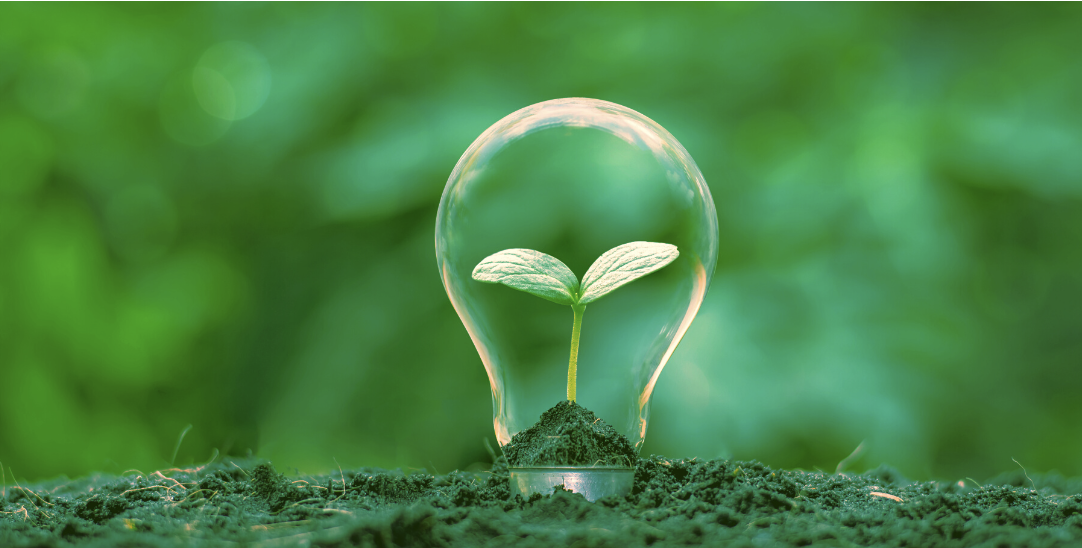Small green seedling sprouting from soil inside a clear lightbulb against green background
